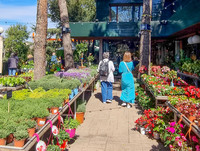 <p>Die grösste Gartencenter-Gruppe Spaniens floriert. In den Regionen Madrid, Valencia, Zaragoza, Málaga, Vigo und Barcelona laden 19…</p>