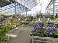 <p>Eine weitere Bauetappe zu einem grösseren und attraktiveren Gartencenter hat Hauenstein Rafz soeben abgeschlossen. Am 1. März 2012 konnte die…</p>