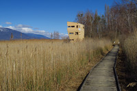<p>Zur Eröffnung der Saison 2018 weihte das Pro Natura Zentrum ChampPittet seinen neuen Beobachtungsturm im Feuchtgebiet der Grande Cariçaie ein.</p>
