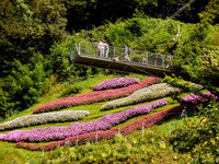 Botanische Erlebniswelt <p>Die Gärten von Schloss Trauttmansdorff in Meran sind ein botanisches Kaleidoskop. Zudem sind sie eine der bedeutendsten Touristenattraktionen des…</p>