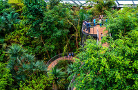 <p>Vor zwölf Jahren wurde im Zürcher Zoo die Masoalahalle eröffnet, ein weltweit beachtetes Experiment mit grosser Ausstrahlung</p><p>&nbsp;</p>
