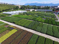 <p>Nach mehr als 100 Jahren verlagert die Baumschule Meylan ihren Produktionsstandort von Renens nach Yverdon-les-Bains mit modernster Technik und…</p>