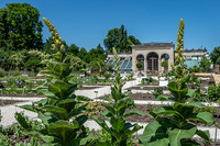 <p>Am 7. Juni 2026 haben die Merian Gärten den erneuerten Arzneipflanzengarten eröffnet. Damit rückt das einzigartige Nutzpflanzensortiment in Unter…</p>