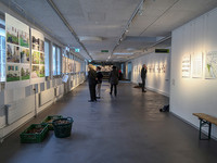 <p>&nbsp;</p><p>In einem Projekt des Instituts für Umwelt und Natürliche Ressourcen der ZHAW Wädenswil gingen Studierende des Moduls «Grünraum und Stadt­leben» in …</p>