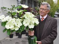 <p>Mit der 'Venus', einer neuen Züchtung im Bereich der Blumenhartriegel, soll wieder frischer Wind in die Sortimente gelangen. Amerikanischen Züchtern…</p>
