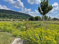 <p>Verbunden mit dem Klimawandel sind GaLaBau-Dienstleistungen gefragt – ein gewaltiges Wachstumspotenzial. Landschaftsarchitektinnen, kommunale…</p>