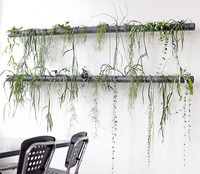 <p>Das Institut für Umwelt und Natürliche Ressourcen (IUNR) der ZHAW in Wädenswil hat ein neues System zur Begrünung von Innenräumen, Terrassen und…</p>