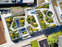 <p>Als Sieger zum „BuGG-Gründach des Jahres 2021“ wurde die gestaltete und begehbare Dachbegrünung des Max-Planck-Instituts für Struktur und Dynamik der…</p>