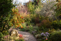 <p>Umgeben von Rebflächen und Feldern liegt der «Bergle Garten» von Karina Waltzer im Aussenbereich des Freiburger Stadtteils Lehen. Nur ein kleines…</p>