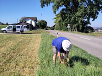 <p>Laut einer Studie des Forschungsinstituts für biologischen Landbau FiBL und der Universität Darmstadt häuft sich wegen Reifenabrieb im Boden,…</p>