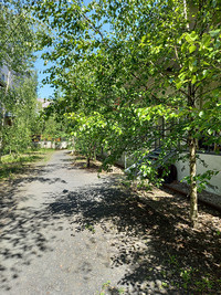 <p>Von laut über belebt bis hin zu ruhig und meditativ – Orte klingen völlig unterschiedlich. Besonders in der Stadt liegen diese Gegensätze oft nur…</p>