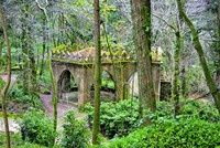 <p>Das subtropische Pflanzenreich in der ehemaligen königlichen Sommerresidenz Sintra nordwestlich von Lissabon erinnert stellenweise an einen weitgehend…</p>