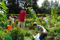<p>Zu Beginn der Gartensaison gibt der Verein «Bildungs- und Schulgärten Schweiz» seine Gründung bekannt. Er ist auf Initiative von Pädagogischen…</p>