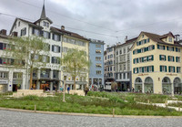 Bäume für den Münsterhof in Zürich <p>Die im Rahmen der Kunstaktion von Heinrich Gartentor im letzten Jahr geschaffene «grüne Insel» auf dem Münsterplatz ist längst rückgebaut. Nun wird…</p>