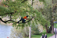 <p>Am 19. und 20. Juni 2026 trifft sich die Schweizer Baumpflegebranche im Park Le Guintzet in Fribourg zur 14. Schweizer Meisterschaft im Baumklettern.…</p>