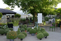 <p>Blumen Gschwend in Neukirch-Egnach TG feierte Anfang September mit einem bunten Anlass sein 25-jähriges Bestehen. Kundschaft und Geschäftspartner…</p>