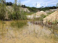 <p>Welche Möglichkeiten ­haben Gärtnerinnen und Gärtner, die nicht Obergärtner oder Gärtnermeister werden, sich aber trotzdem im Umweltbereich…</p>