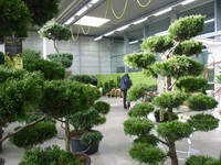 <p>Ob Golf-, Sport- oder Zierrasen – an Rasenflächen werden heutzutage hinsichtlich Funktion und Belastung vielfältige Anforderungen gestellt. Über die…</p>