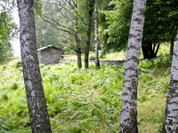 <p>Kulturlandschaften stellen ein gemeinsames Werk von Natur und Mensch dar. Als vielfältige Biotope bieten sie Lebensraum für eine artenreiche Flora und…</p>