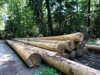 <p>90% der Unternehmen in der deutschen Substratbranche verzeichnen derzeit einen Engpass bei Rinde zur Herstellung von Mulchprodukten und Rindenhumus.…</p>