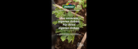 <p>Unter dem Claim «Von Natur aus inspiriert» hat die Gartencenter-Gruppe Dehner am 11. März 2022 eine ihrer bislang grössten Werbekampagnen gestartet.…</p>