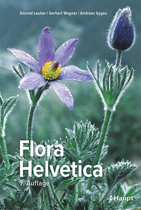 <p>Seit über 25 Jahren gilt «Flora Helvetica» als Standardwerk zur Botanik der Schweiz. Die seit 12. Februar 2024 erhältliche 7. Auflage wurde…</p>