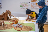 <p>Die Stadtgärtnerei Basel erneuert den beliebten Mammutspielplatz im Margarethenpark im Gundeldinger Quartier. Aktiv an der Planung beteiligt waren…</p>