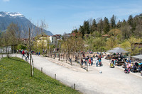 Sicherheit in Spielräumen <p>Im Natur- und Tierpark Goldau werden die Spiel- und Grünanlagen systematisch erfasst und kontrolliert. Doch wie tragfähig sind die Holzbauteile in den…</p>