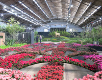 <p>Alle vier Jahre präsentiert sich der belgische Zierpflanzenbau mit einer spektakulären Ausstellung dem Publikum. Die 36. Ausgabe startete Ende April…</p>