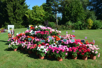 <p>Neuheiten und Spezialitäten für die Beet- und Balkonsasion 2017 präsentierte die Wyss Samen und Pflanzen AG am 24. und 25. August 2016 anlässlich…</p>