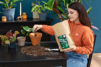 <p>Die Geschwister Ellen und Adrian Keller vom Pflanzencenter Keller in Malterdingen gründeten 2021 zusammen den Pflanzen-Onlineshop Plantaddiction. Die…</p>