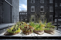 «#EINFACH_GRÜN – Greening the City» – Projekte gesucht <p>Das Deutsche Architekturmuseum (DAM) in Frankfurt am Main widmet sich vom 13. November 2020 bis zum 4. April 2021 in der Ausstellung «#EINFACH_GRÜN –…</p>