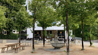 <p>Die Linden auf dem Theaterplatz in Baden beherbergen eine in der Schweiz prioritär geschützte Käferart – den Grossen Linden-Prachtkäfer (Lamprodila…</p>