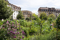 Schulthess Gartenpreis 2015 für gemeinsam genutzte Pflanzgärten der Stadt Lausanne <p>In den Städten hält der Wunsch nach selbst gezogenem Gemüse und gärtnerischen Experimenten an. Wie «Urban Gardening» funktioniert und einen…</p>