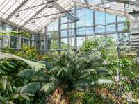<p>Elegant und etwas versteckt liegt das Tropenhaus am Rande des Botanischen Gartens der Universität Basel. Kürzlich eröffnet, bietet es, ohne…</p>