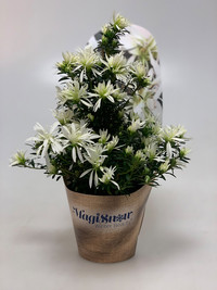 <p>Für den Neuheitenwettbewerb an der diesjährigen IPM in Essen waren 62 Neuzüchtungen von 37 Ausstellern angemeldet. Vergeben wurde die Auszeichnung in…</p>