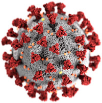<p>Um die Ausbreitung des Coronavirus in der Schweiz einzudämmen, sind Veranstaltungen verboten. Zudem sind bis am 4. April alle Präsenzveranstaltungen…</p>