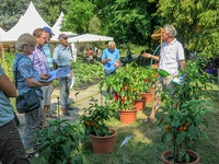 <p>Der Sommer 2018 präsentierte sich ausnehmend sonnig, trocken und heiss. Welche Arten und Sorten kommen mit solchen Bedingungen am besten zurecht?…</p>