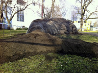 <p>Im Rahmen der bevorstehenden 8. NATUR startete am 26. Februar die Ausstellung «experimenta13: Natur Stadt Kunst». Zehn künstlerische Arbeiten sind an…</p>