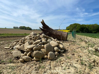 <p>Die Hermann und Elisabeth Walder-Bachmann Stiftung (WBS) zeichnet BirdLife Schweiz, LPO Alsace und NABU Südbaden für ihr gemeinsames Engagement zum…</p>