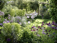 <p>Euphorbia wurde zur Staude des Jahres 2013 gekürt. Mit dieser Aktion macht der Bund deutscher Staudengärtner (BdS) auf besonders zu beachtende Stauden…</p>