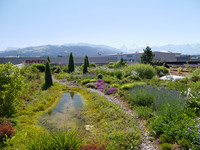 <p>Was sagt die Forschung zu der immer häufigeren Forderung, nur einheimische Arten zu verwenden? Ein Beitrag zur sachlichen, fakten­basierten Diskussion…</p>