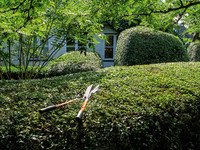 <p>Der hinter hohen Hecken versteckte Garten hat keine Rasenflächen und keine bunten Rabatten. Es ist vielmehr ein Labyrinth mit einem von Ligusterhecken…</p>