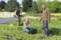 <p>Die Frikarti Stauden AG hat den «Preis für Nachhaltigkeit in der Grünen Branche» (Medien-Award öga 2012) gewonnen. Die Auszeichnung geht an ein…</p>
