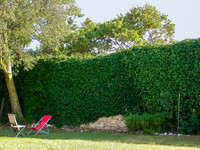 <p>Unsere Wahrnehmung ist stark visuell geprägt, das Akustische wird kaum gepflegt. Hörlandschaften zu gestalten, statt nur Sehenswürdigkeiten zu…</p>