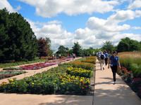 <p>Fleuroselect darf sich zu Recht als die wichtigste internationale Organisation der Zierpflanzenzüchter bezeichnen. Unter ihrem Dach sind nicht nur die…</p>