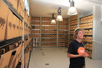 <p>In diesem Jahr findet die Expo unter dem Motto «Feeding the Planet: Energy for Life» (den Planeten ernähren) in Mailand statt. Zu erwarten wäre, dass…</p>