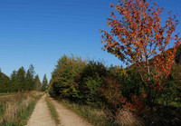 <p>Am Samstag, 26. Oktober 2019, werden an zwölf Standorten in der Schweiz neue Hecken gepflanzt sowie&nbsp;bestehende aufgewertet und gepflegt. Mit dem…</p>