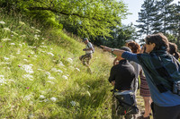 <p>Wissenschaftlerinnen und Wissenschaftler zählen 24 Stunden lang die Flora und Fauna in den Merian Gärten. Interessierte dürfen ihnen über die Schulter…</p>