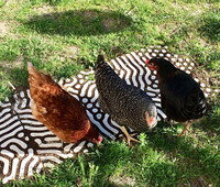 <p>Stehen analog und digital im Widerspruch? Wie begegnen sich Erwartung und Realität? Ab wann wird Natürliches künstlich? Dies sind Fragen, die an der…</p>